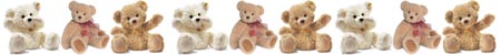 bears